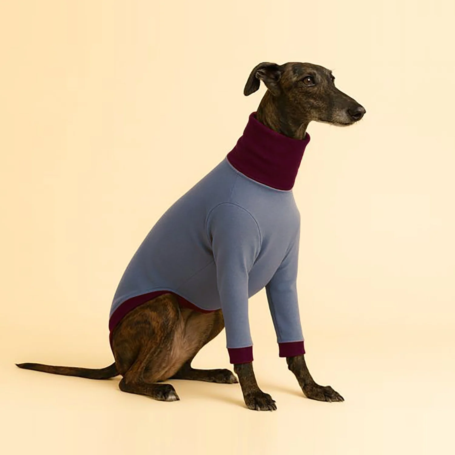 Col Roulé Polly Gris / Aubergine