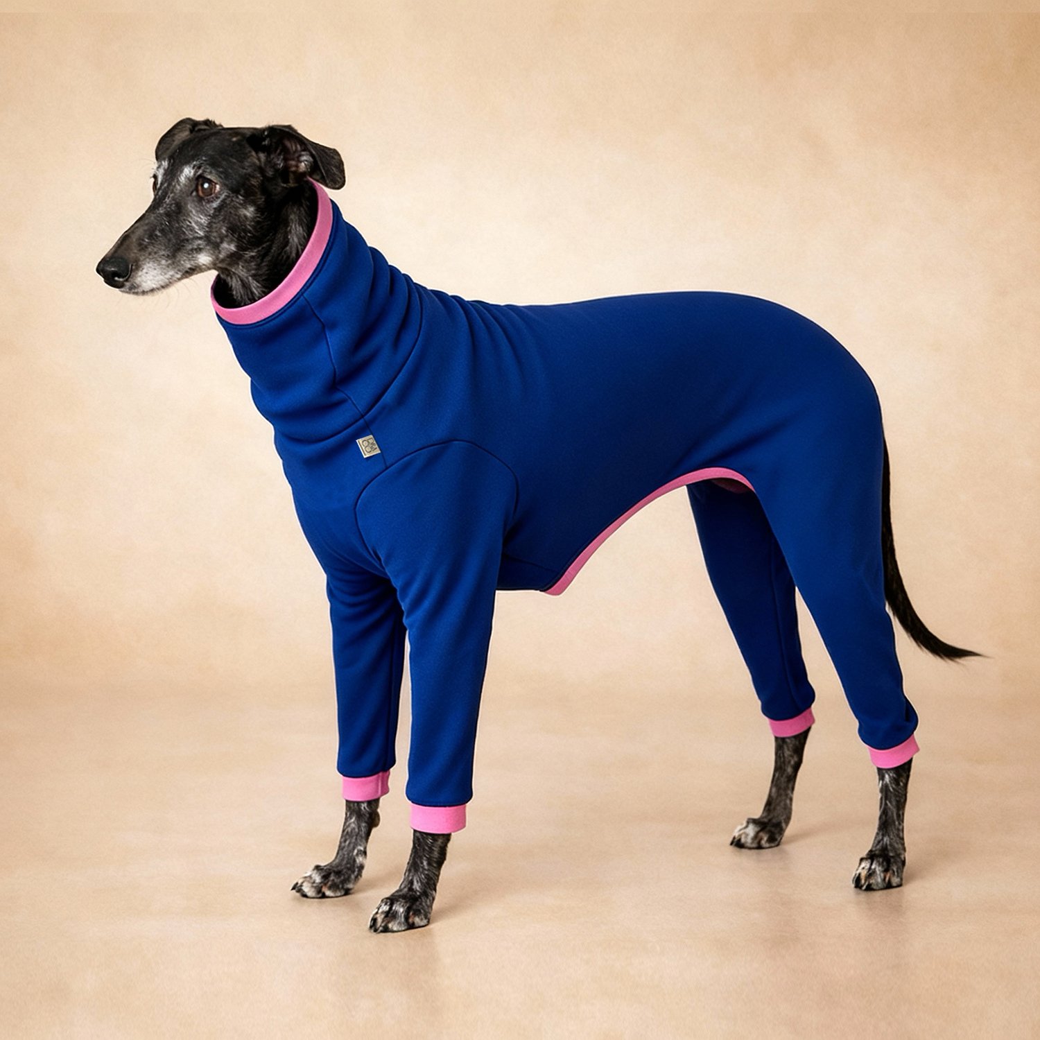 Combinaison Fuego - Bleu Violet