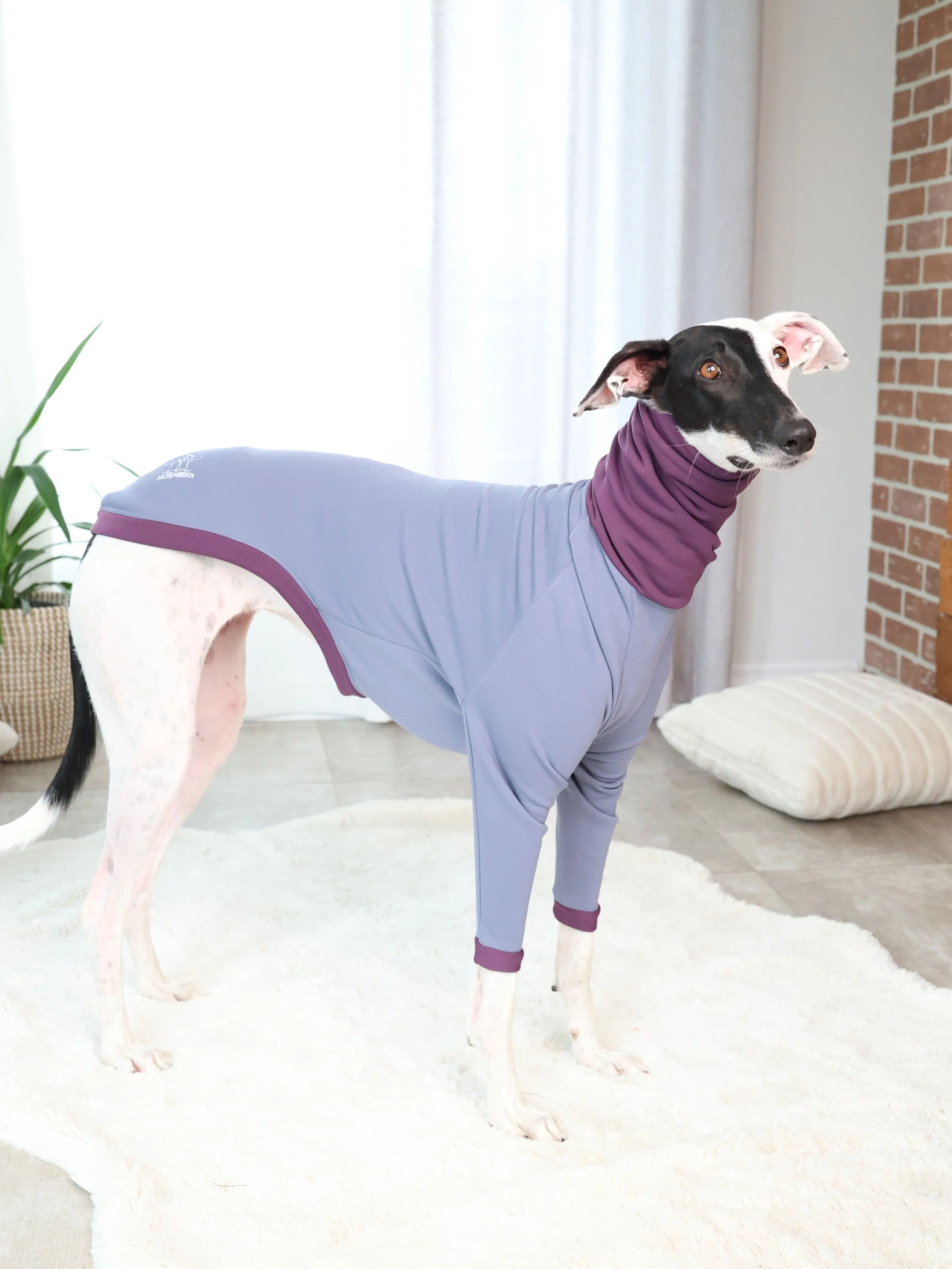 Col Roulé Polly Gris / Aubergine