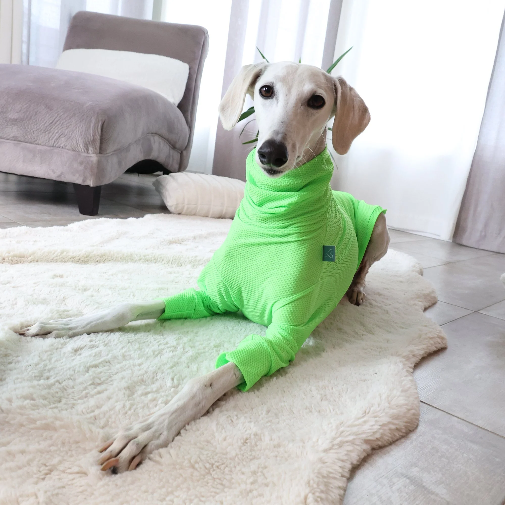 Col Roulé Luna AirFlow - Vert Lime