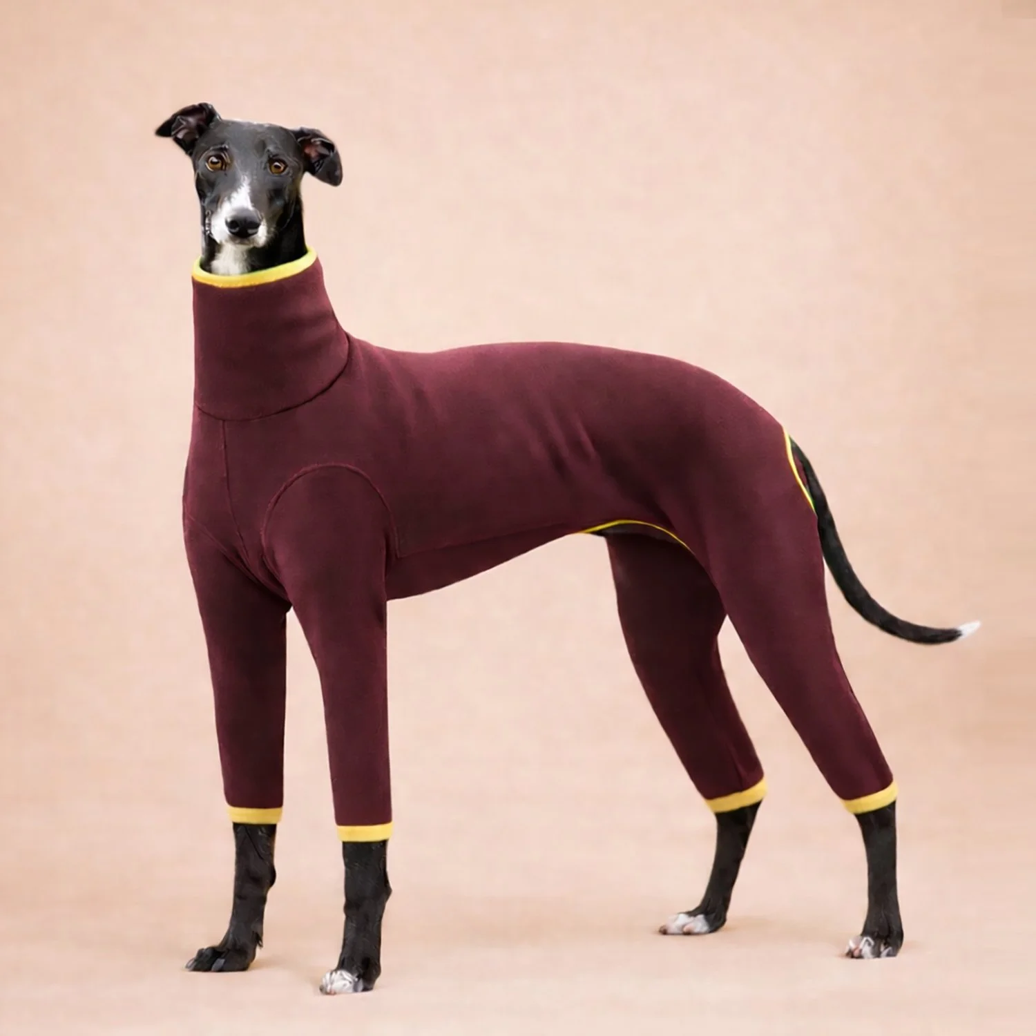 Combinaison Fuego - Bourgogne