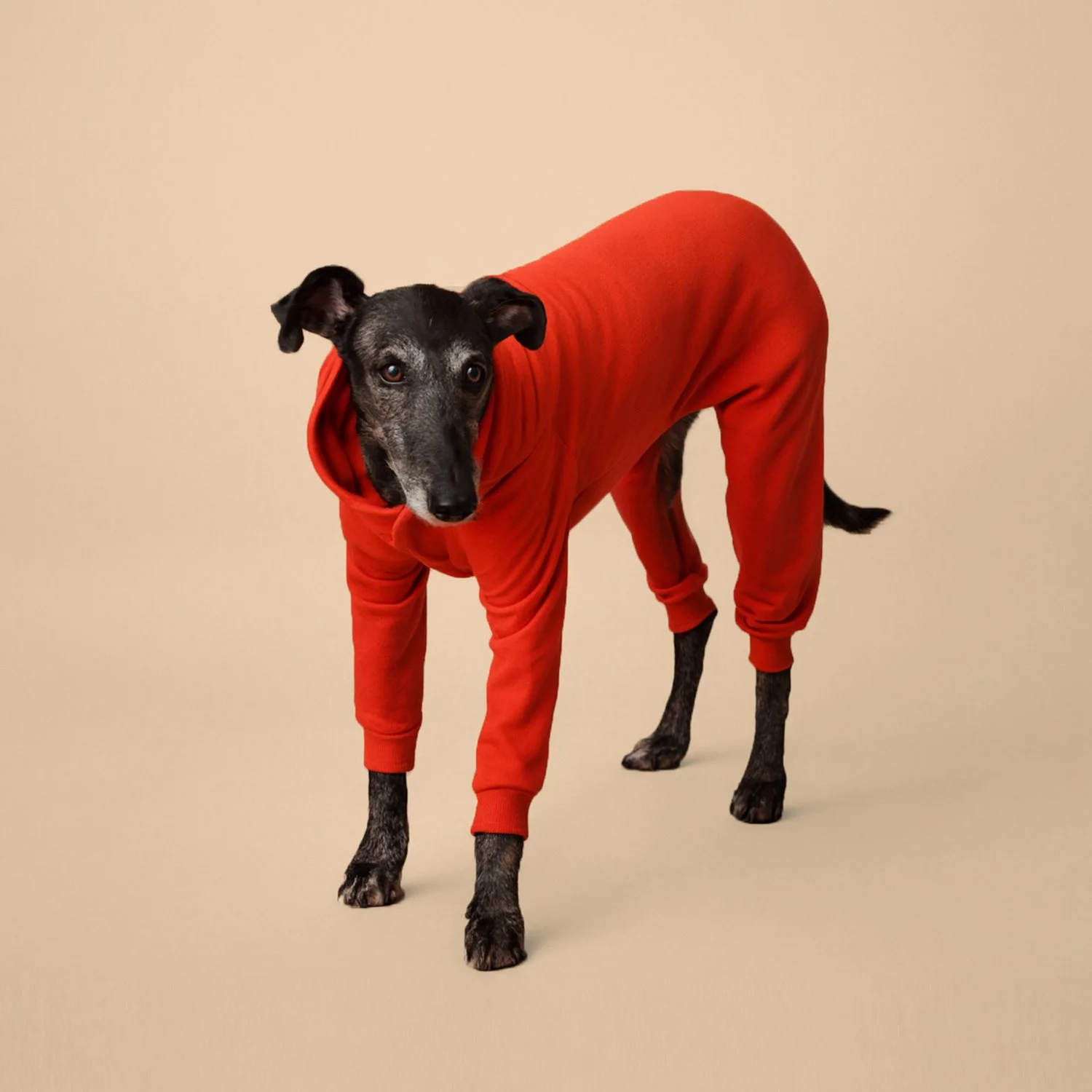 Combinaison Fuego - Orange