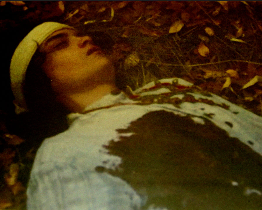 Screenshot 2026-02-15 at 9.04.03 PM.png