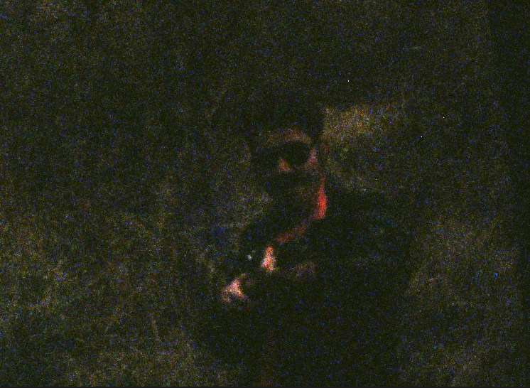 Screenshot 2026-03-06 at 1.21.36 PM.png