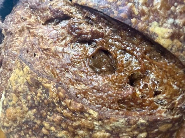 Double Chocolate Cherry Sourdough Bread