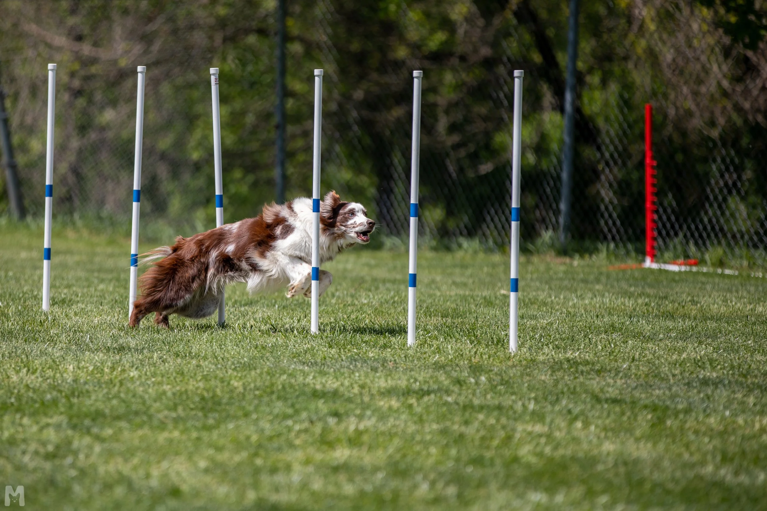 20230428_AADS_Saturday_MC_211.jpg