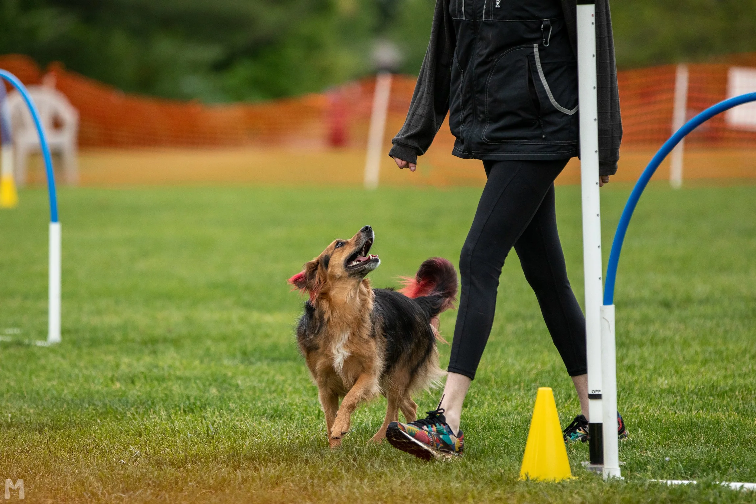20230427_AADS_Saturday1_MC_149.jpg
