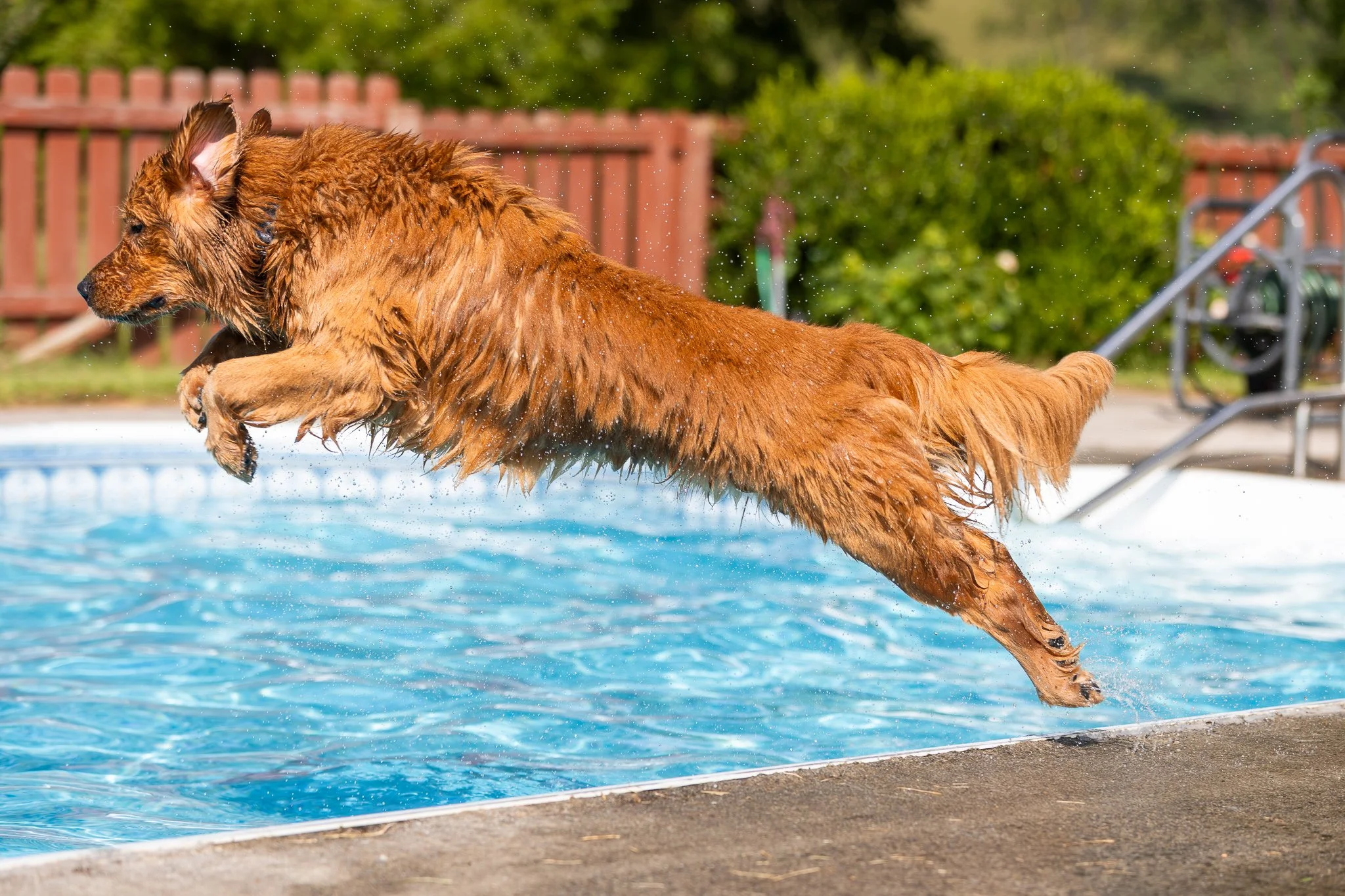 20250809_PheRoTedPool_MC_045.jpg