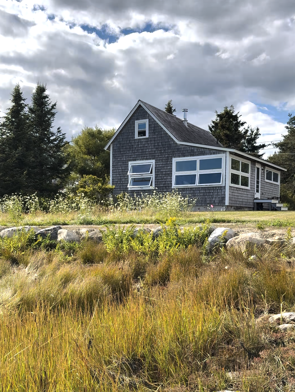 Screenshot 2026-01-31 at 2.38.44 PM.png