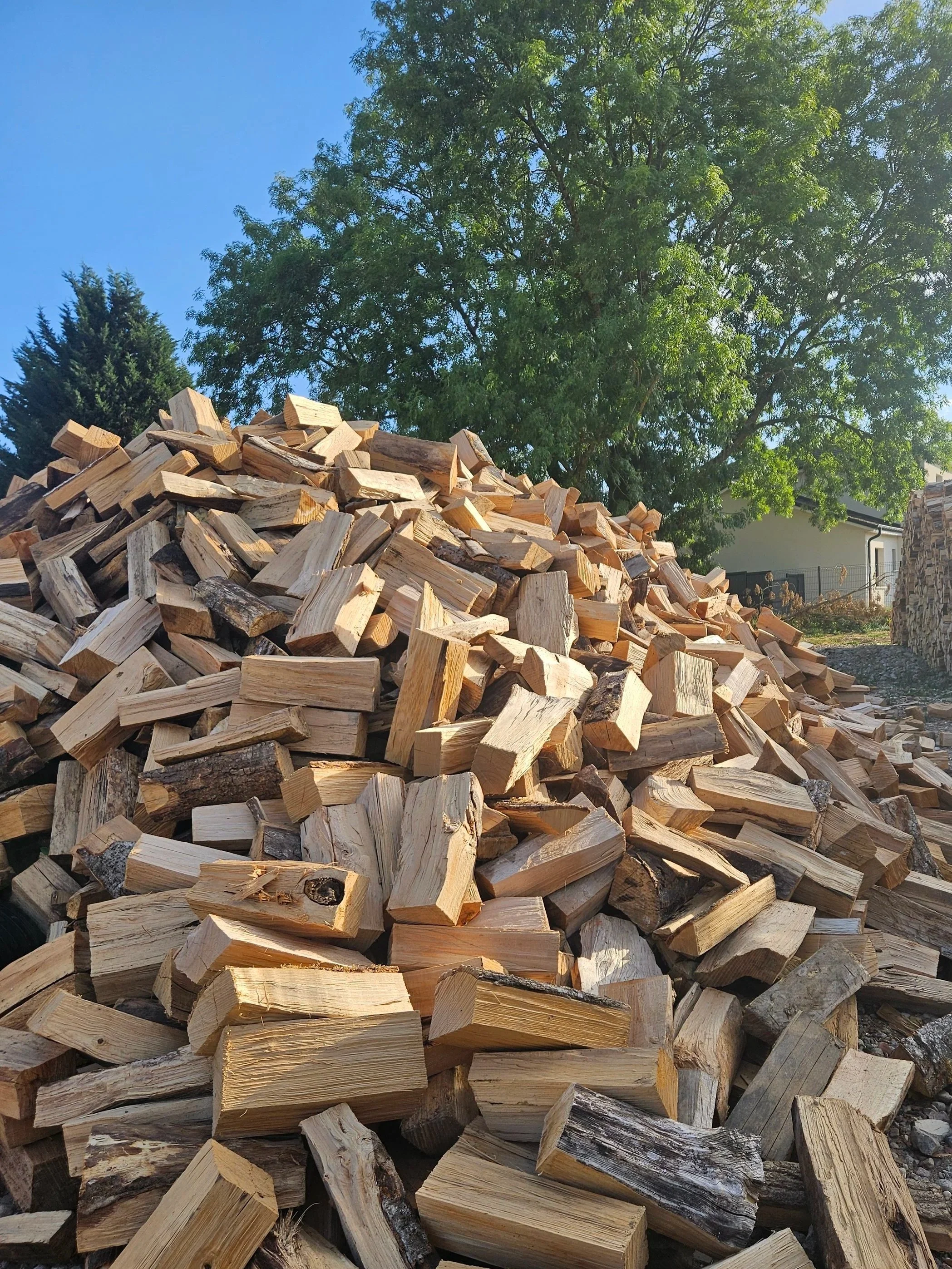 Un tas de bois de chauffage empilé devant un arbre vert et un ciel bleu.