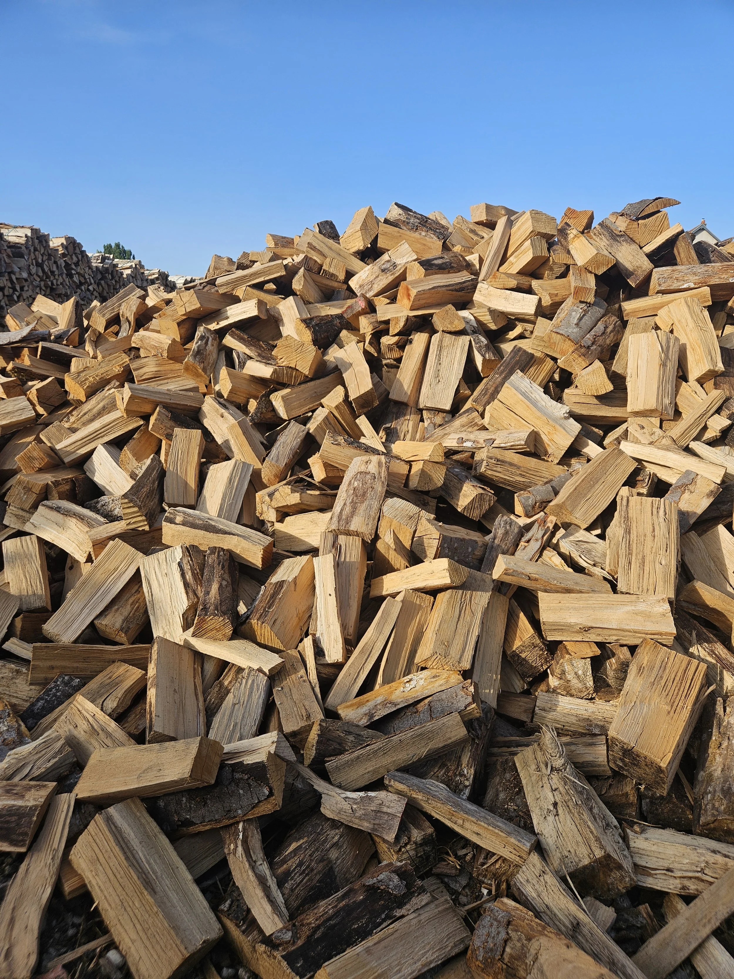 Pile de bois de chauffage coupé et empilé sous un ciel clair et bleu.