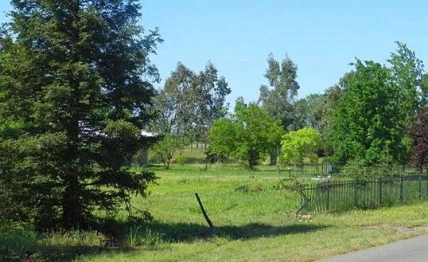 Sandy yard with green grass, trees, and a metal fence under a blue sky.