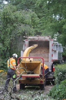 Tree trimming crew using a wood chipper to process tree branches.