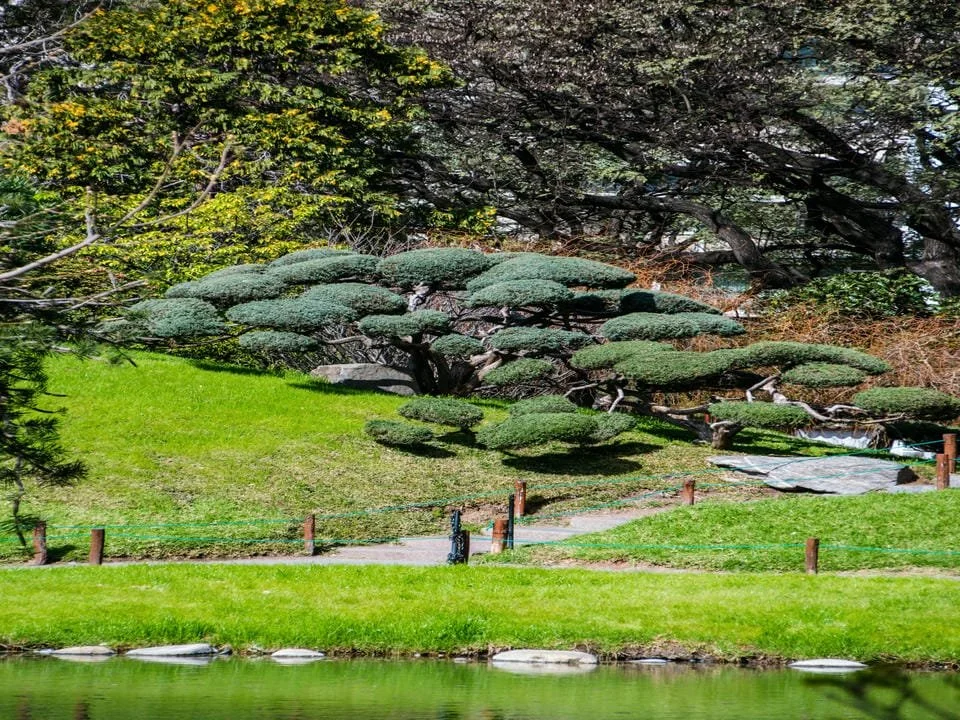 A scenic garden scene with trimmed, rounded bushes, a grassy hill, a small pond or lake at the foreground, and various trees in the background.