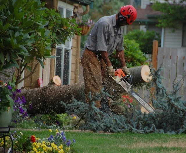A man wearing a red helmet and gray shirt uses a chainsaw to cut a fallen tree in a garden with colorful flowers and greenery.