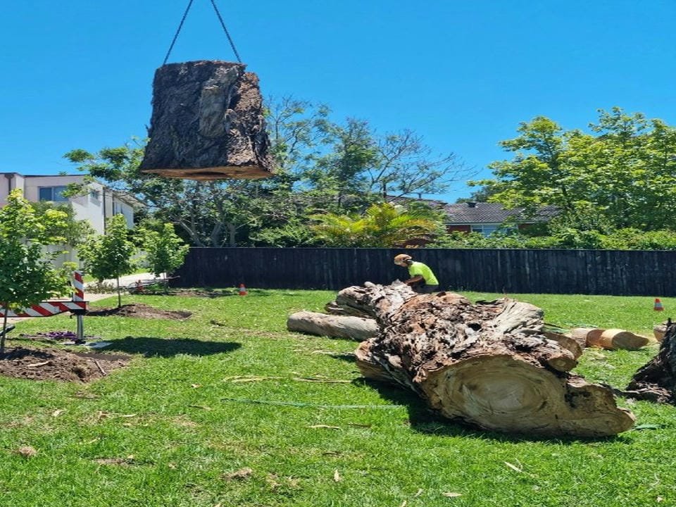 A large tree trunk being lifted by a crane in a backyard, with a worker cutting another fallen log on the grass, surrounded by small trees and a black fence, under a clear blue sky.
