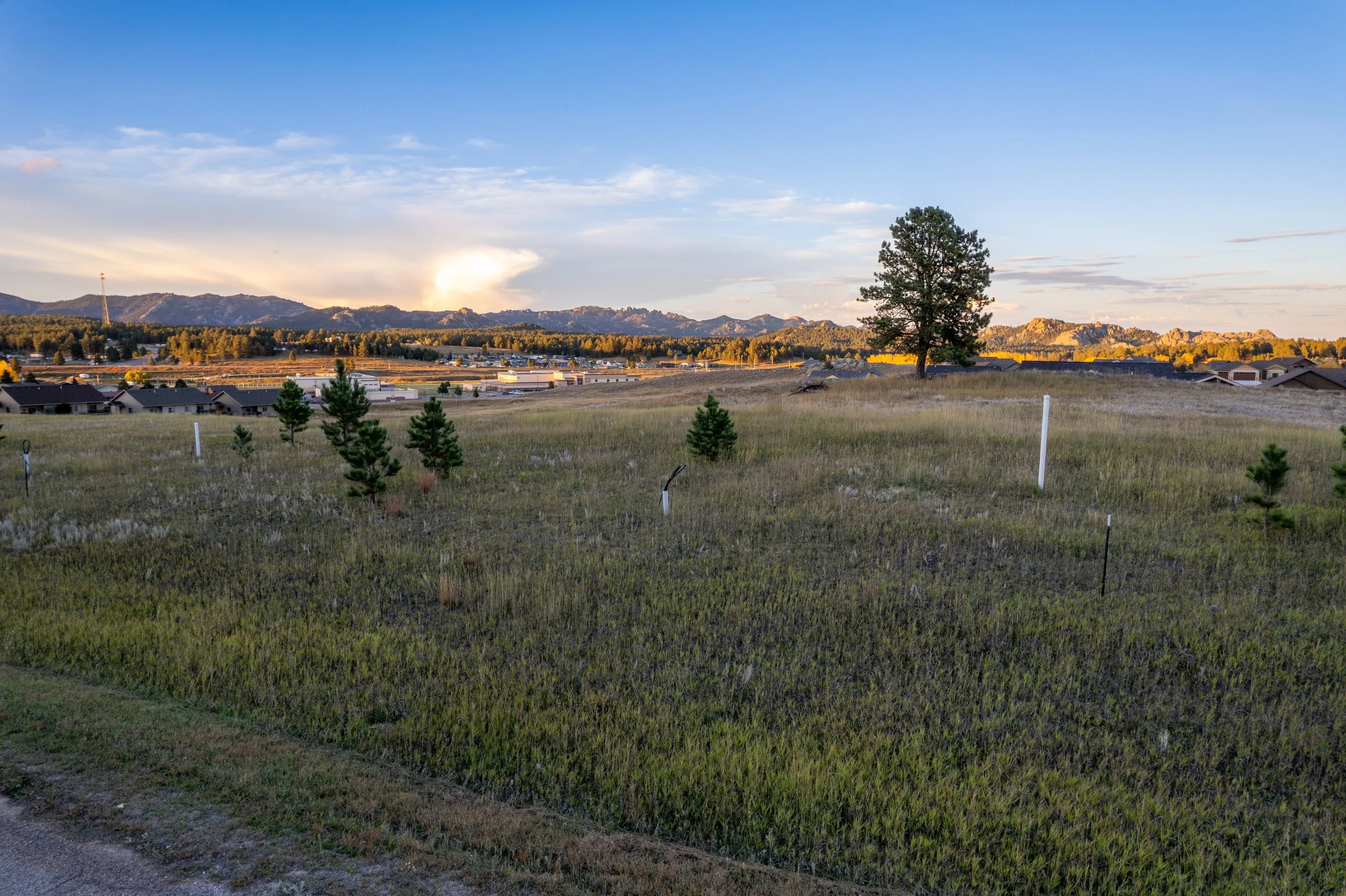 Open field with small pine trees, a large tree in the distance, houses, and mountains under a partly cloudy sky during sunset.