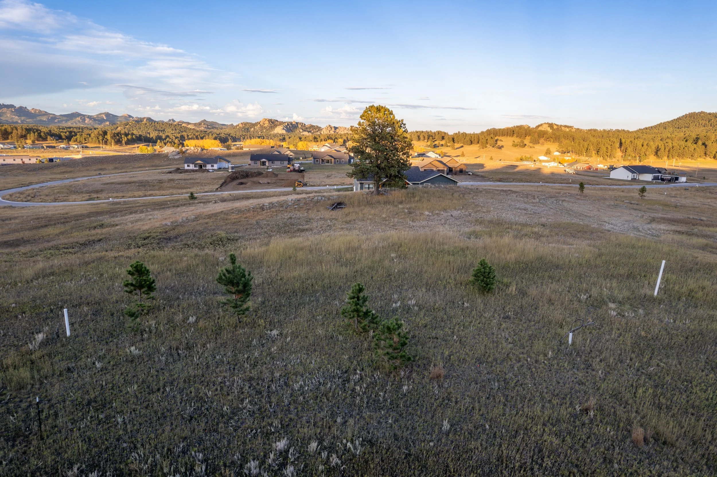 Open field with small trees and a large tree in the center, residential houses in the distance, mountains on the horizon, and a partly cloudy sky during sunset.