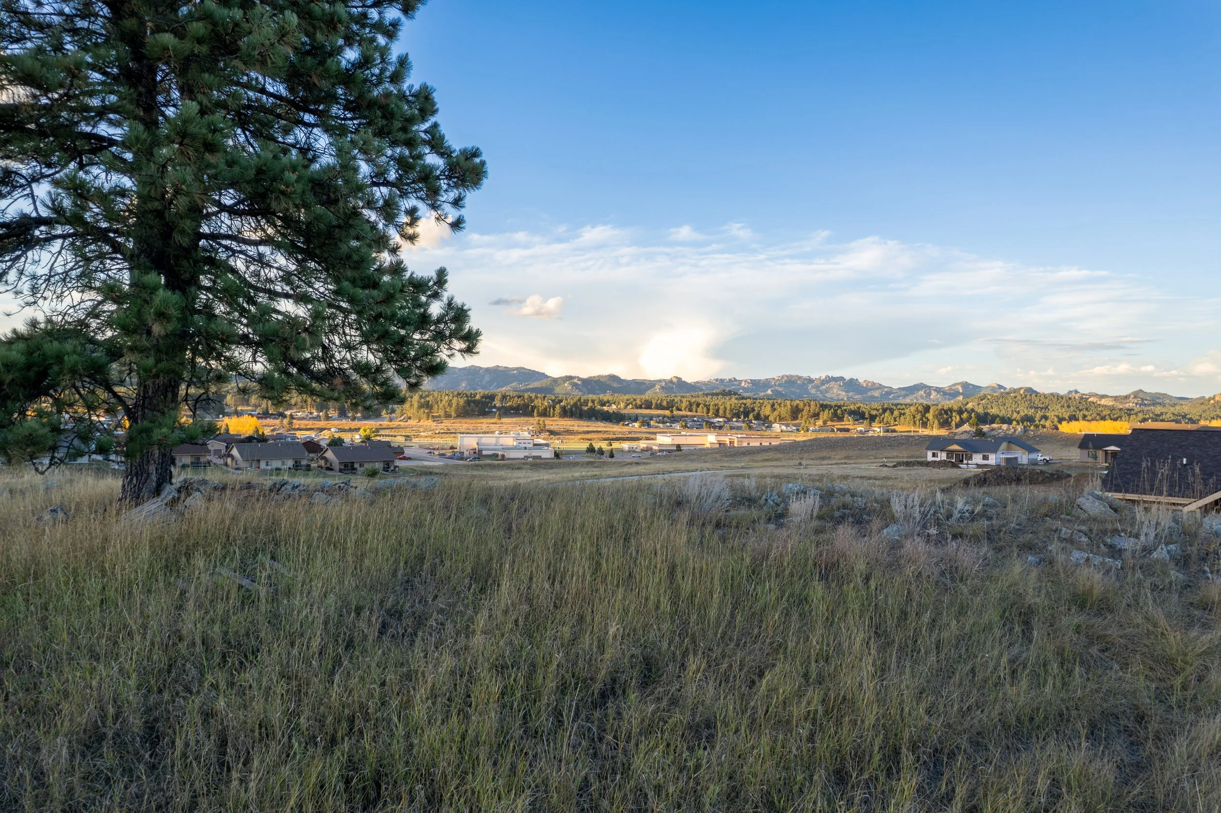 Open field with tall grass, a large pine tree on the left, and houses in the distance under a clear blue sky with some clouds. Mountain range in the background.