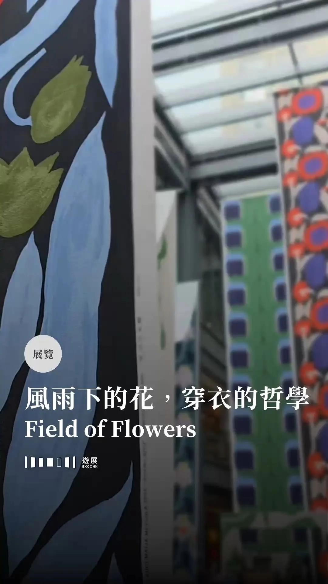 風雨下的花，穿衣的哲學