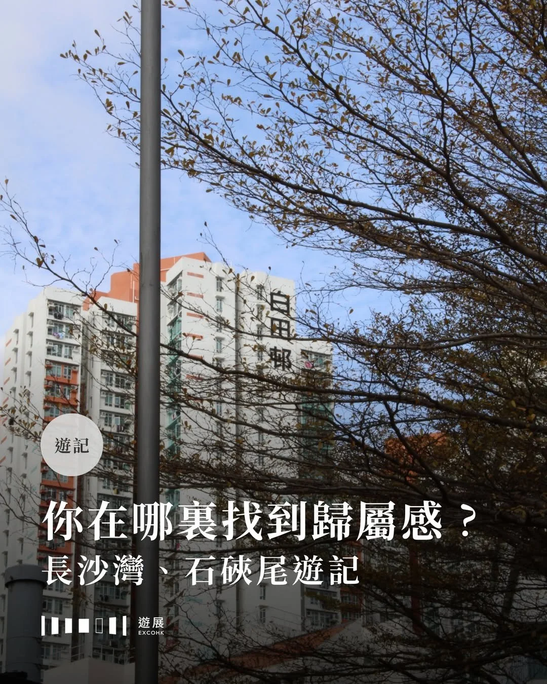 你在哪裏找到歸屬感？