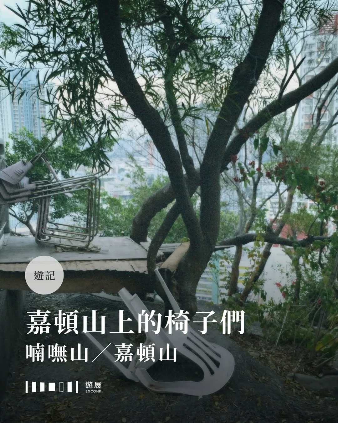 嘉頓山上的椅子們