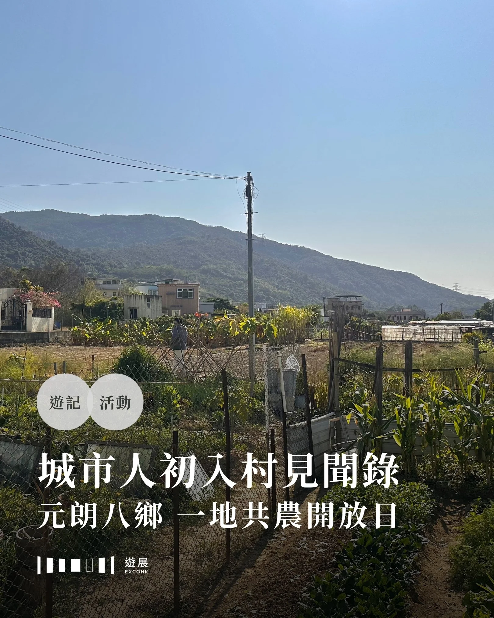 城市人初入村見聞錄