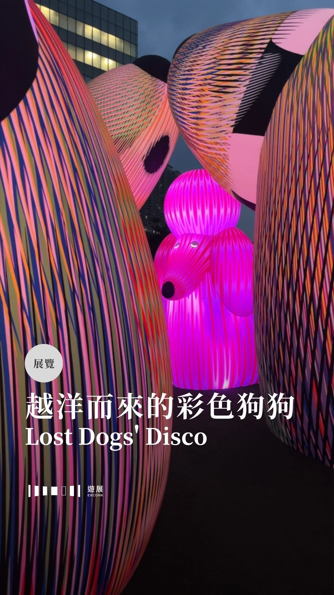 越洋而來的彩色狗狗