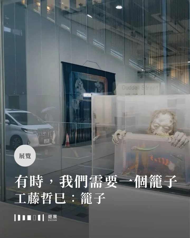 有時，我們需要一個籠子