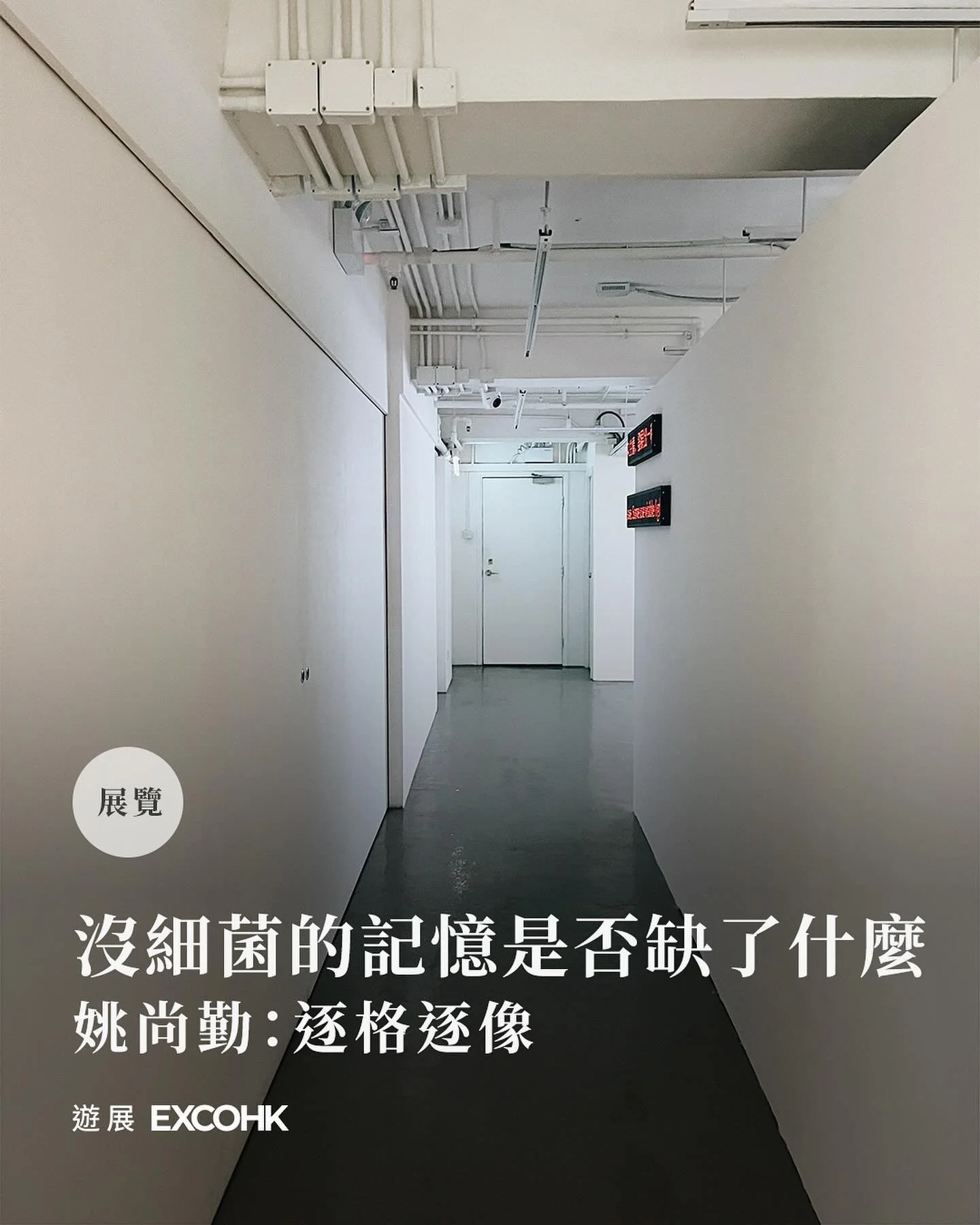 沒細菌的記憶是否缺了什麼