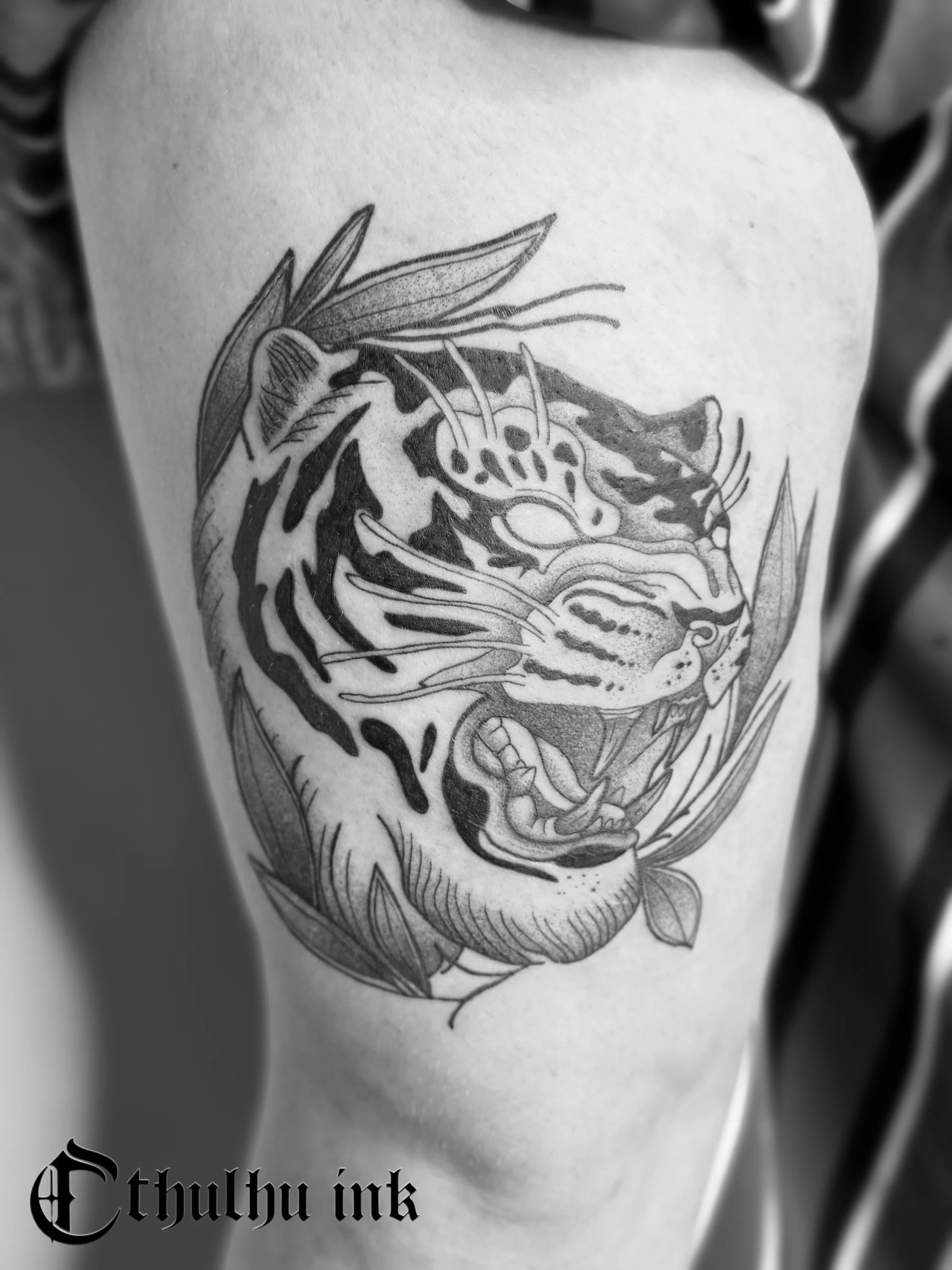 tiger.jpeg