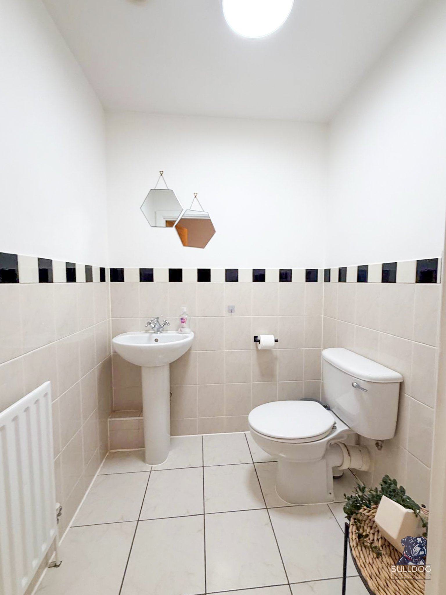 PHOTO-2026-03-25-13-34-46 18.jpg