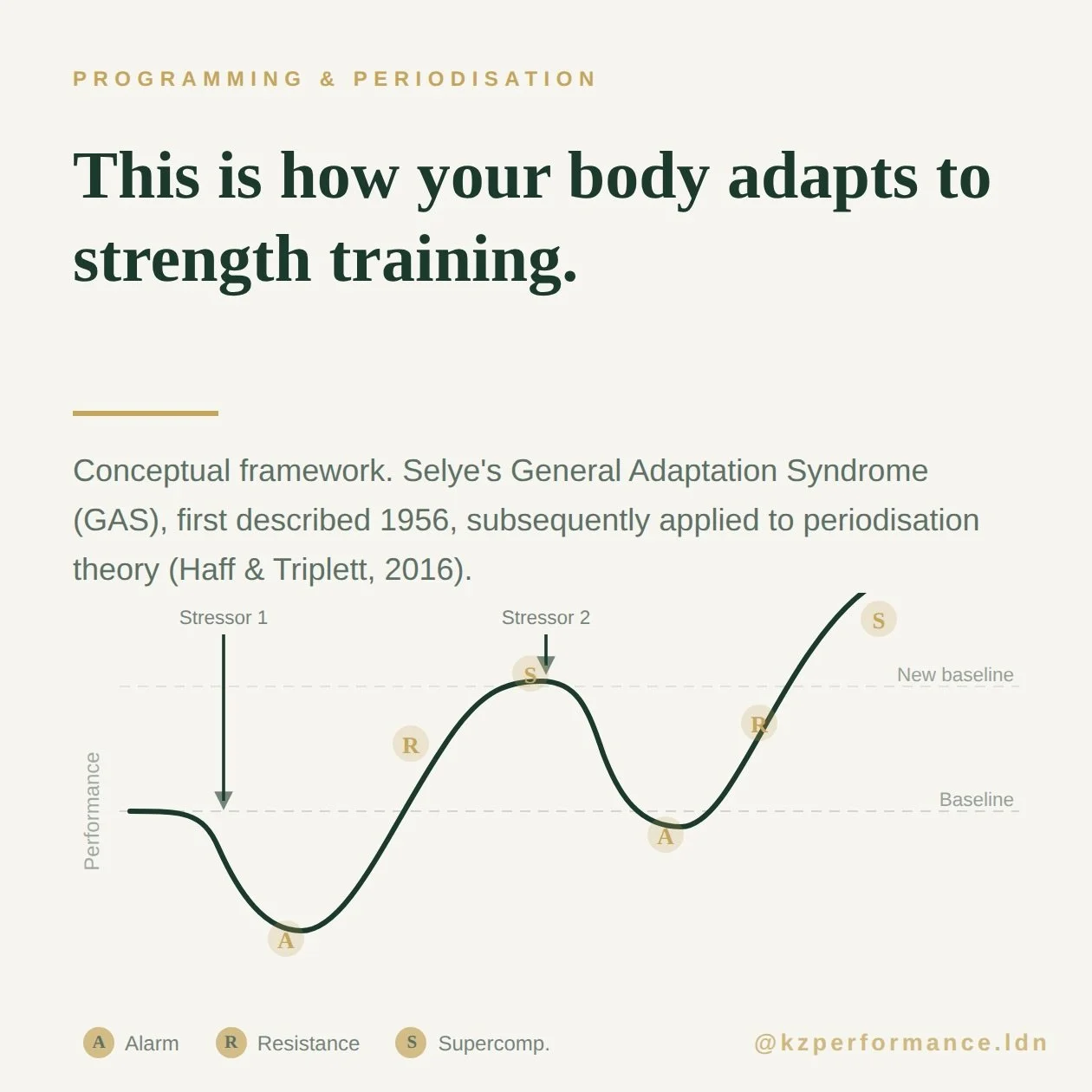 Your body doesn&rsquo;t get stronger during training. It gets stronger after it.
Every time you increase the load or start a new programme, your body goes through the same sequence: performance drops first, then it adapts, then it overshoots your pre