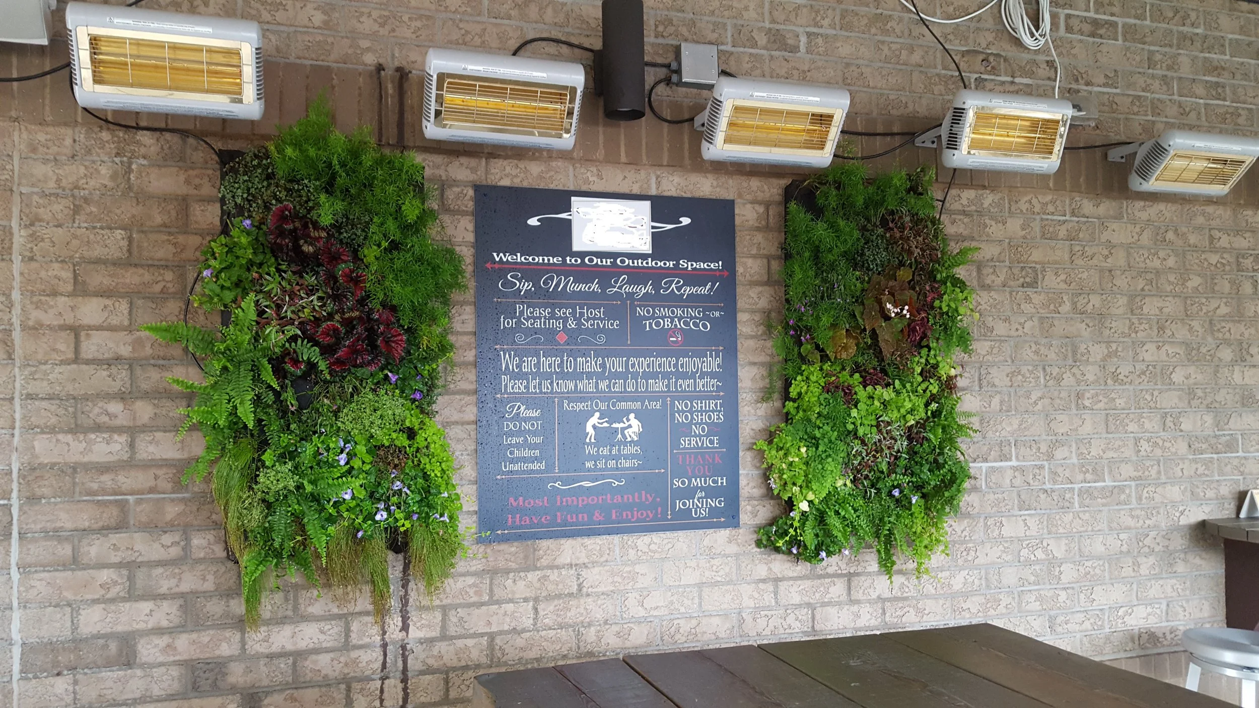 20170613_112911.jpg