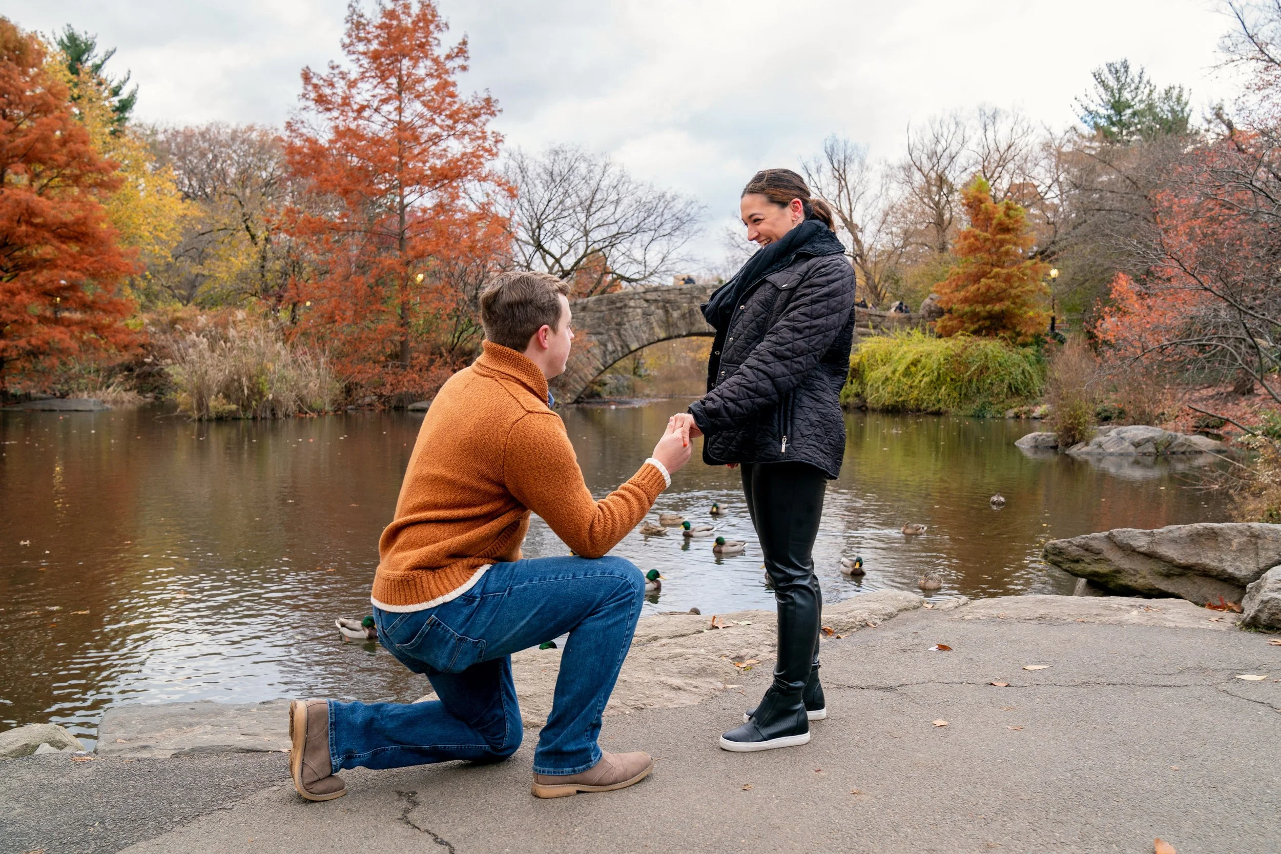 A man on one knee, proposing to his girlfriend, with the Gapstow Bridge and fall foliage in the background