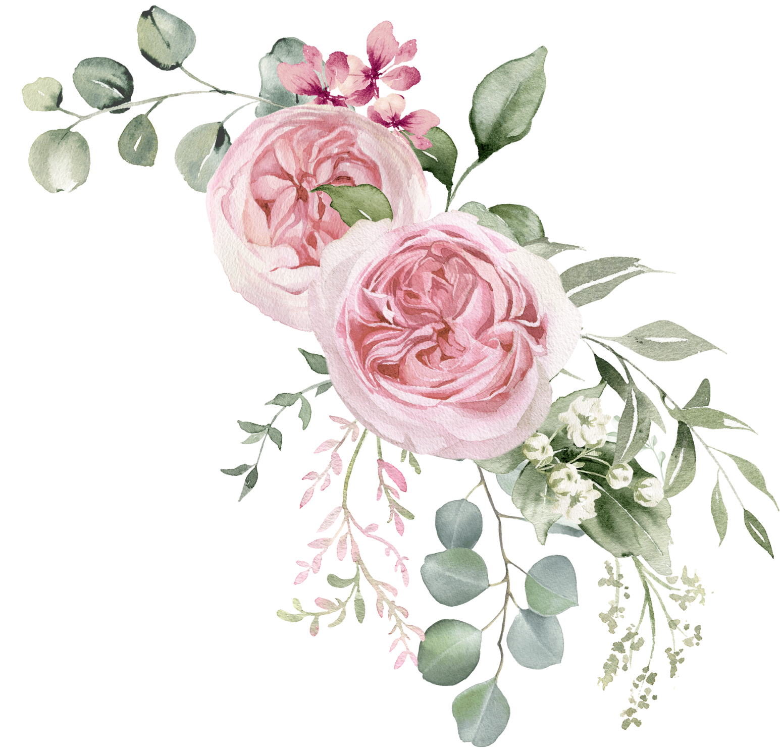 Watercolor illustration of pink roses, small pink flowers, and various green foliage including eucalyptus leaves.