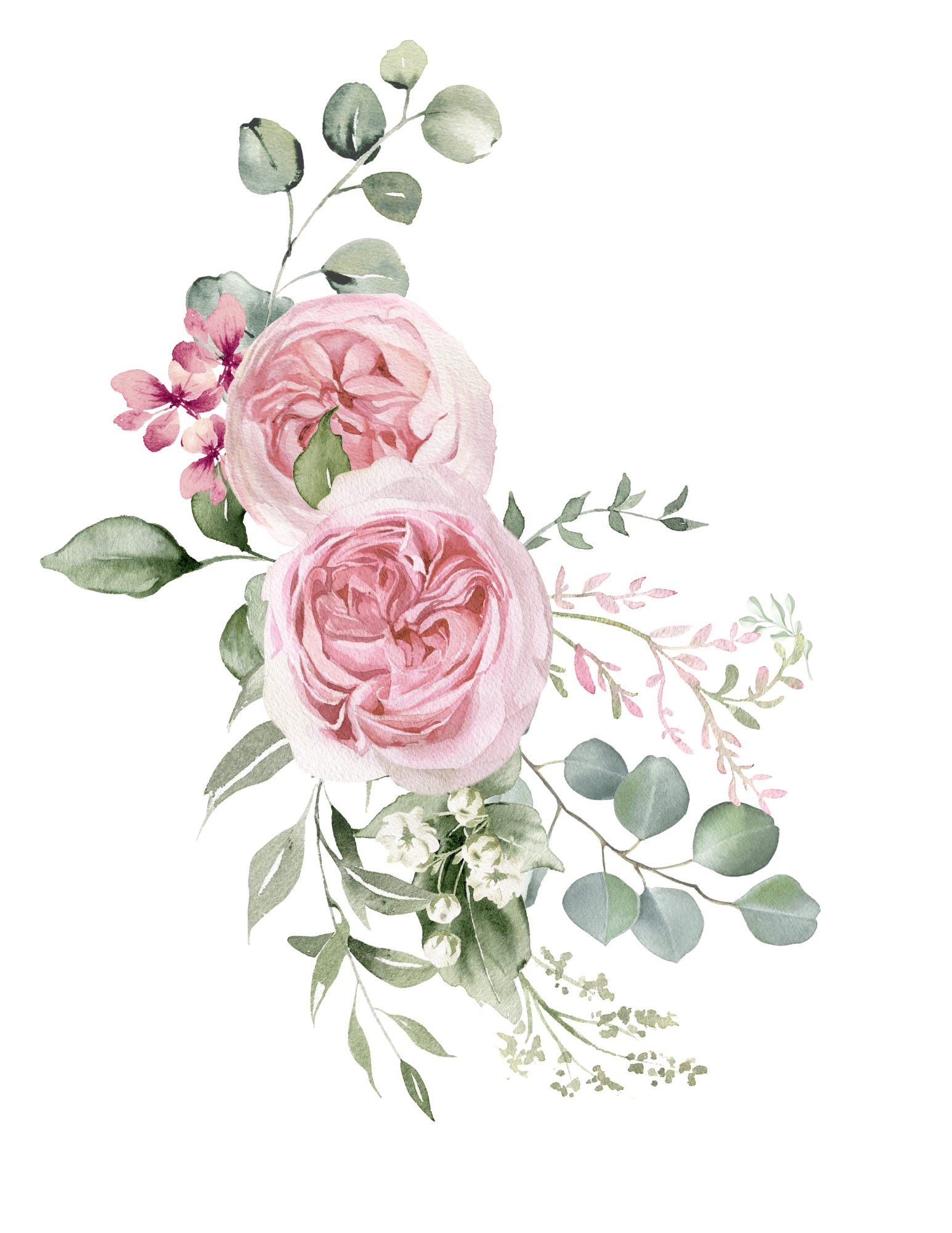 A digital illustration of a floral arrangement with two large pink roses, small pink flowers, and gray-green eucalyptus leaves.