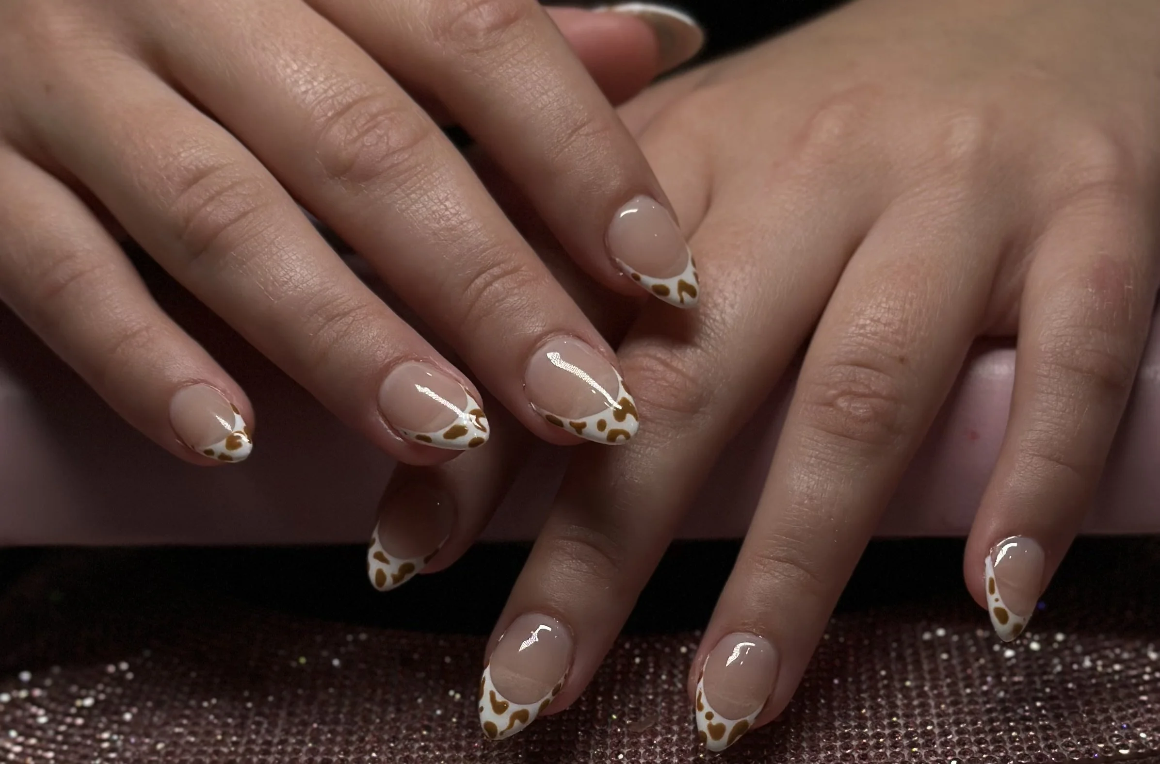 frenchie with cow animal print