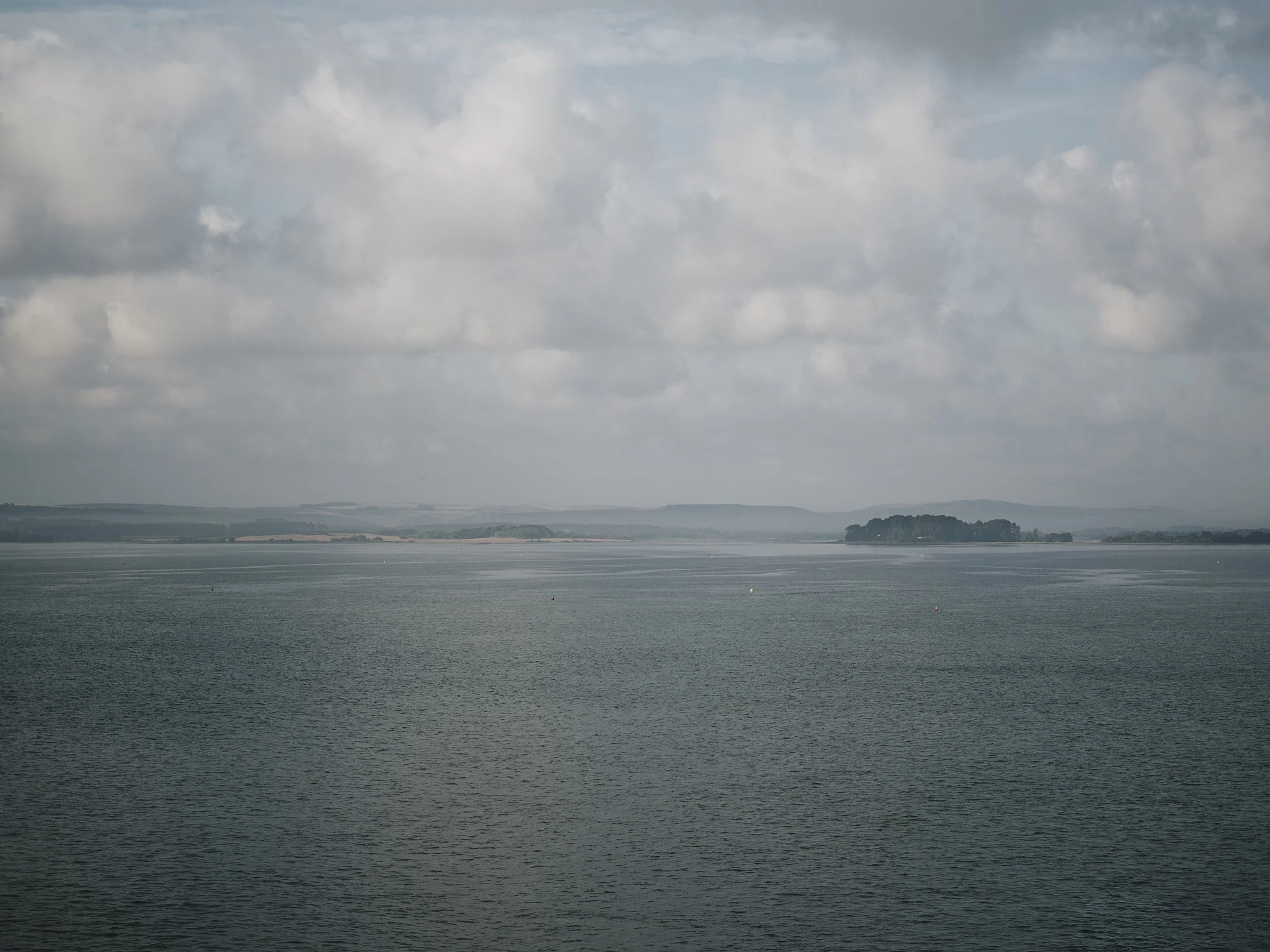 FIELD_Aug 24 2025 6 1.jpg