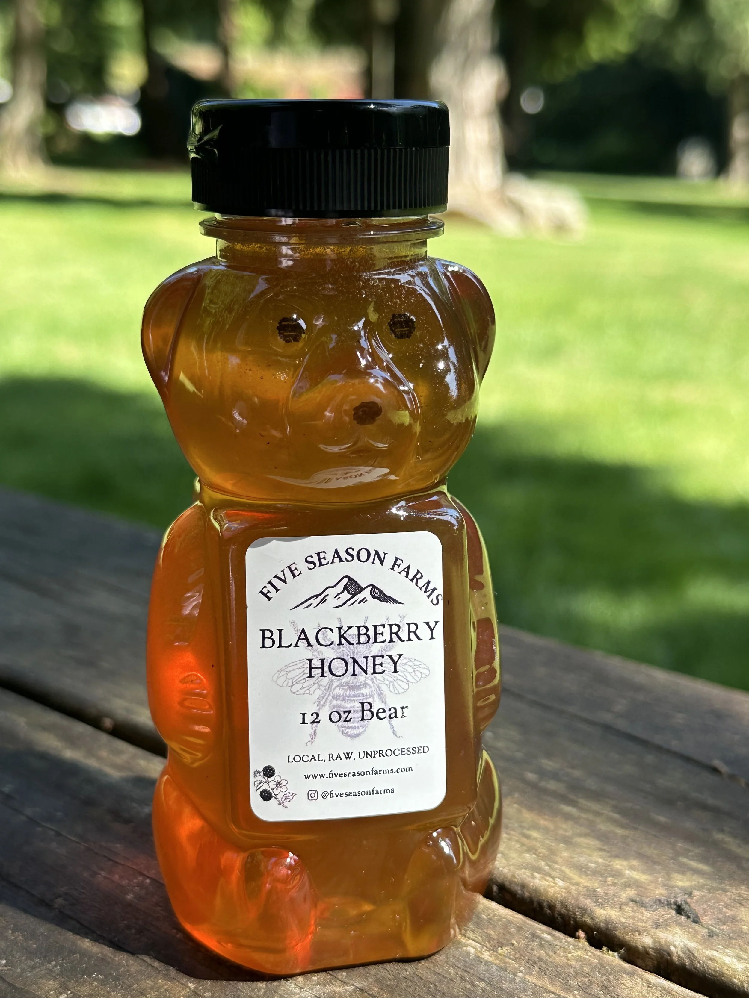 Blackberry Honey Bear