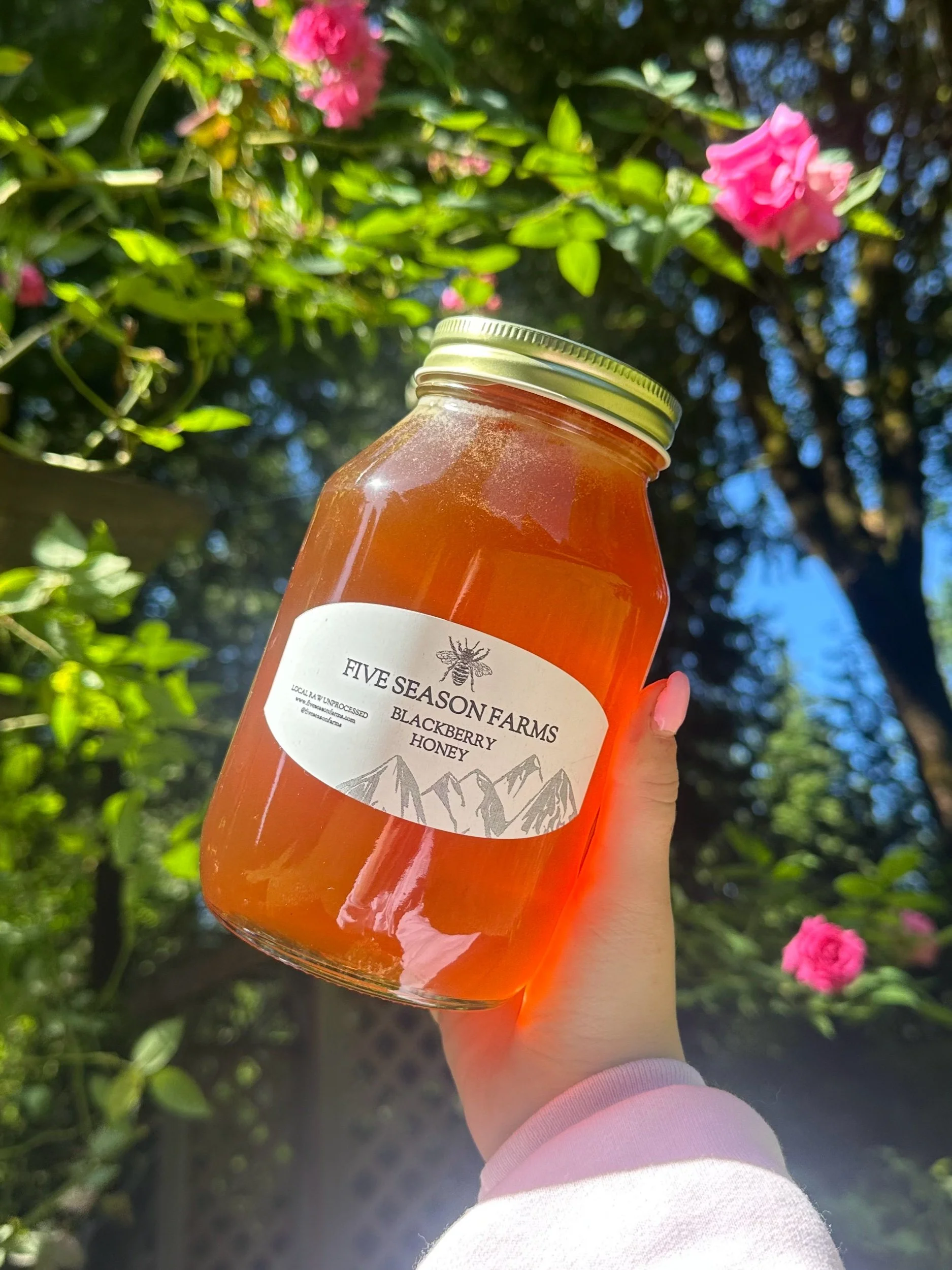 Blackberry Honey 3lb