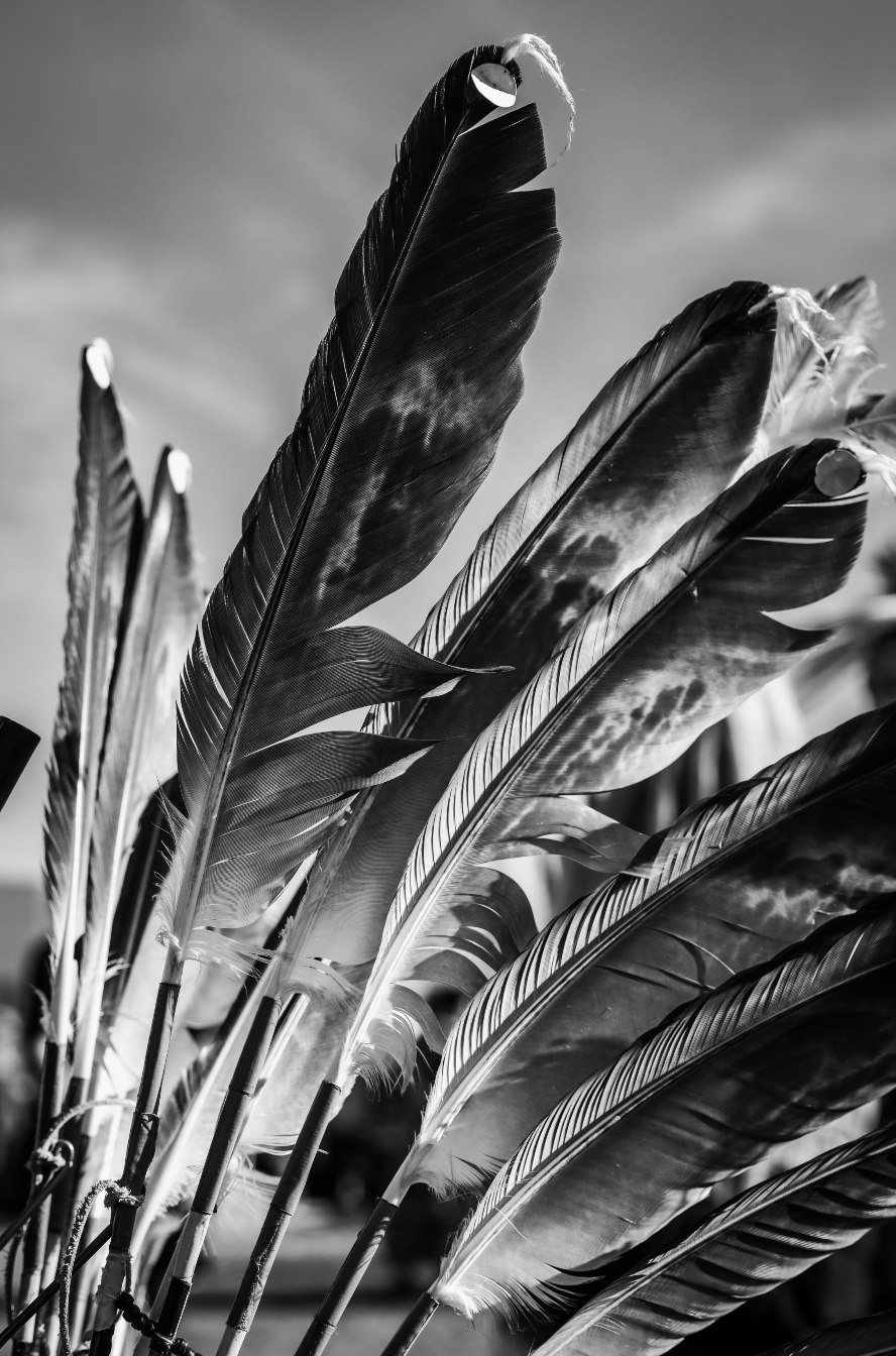 Screenshot 2025-12-25 at 1.33.26 PM.png