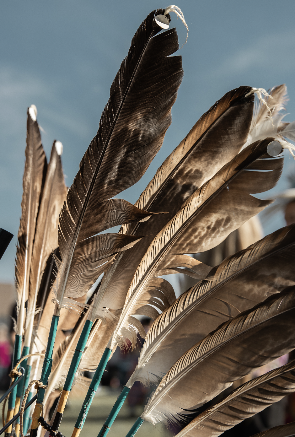 Screenshot 2026-02-10 at 6.12.22 PM.png