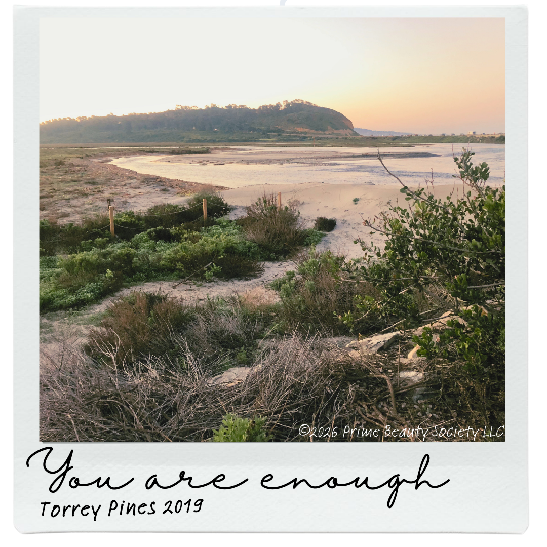A scenic view of a coastal landscape with a river, sandy shores, green bushes, and a distant hillside during sunset.