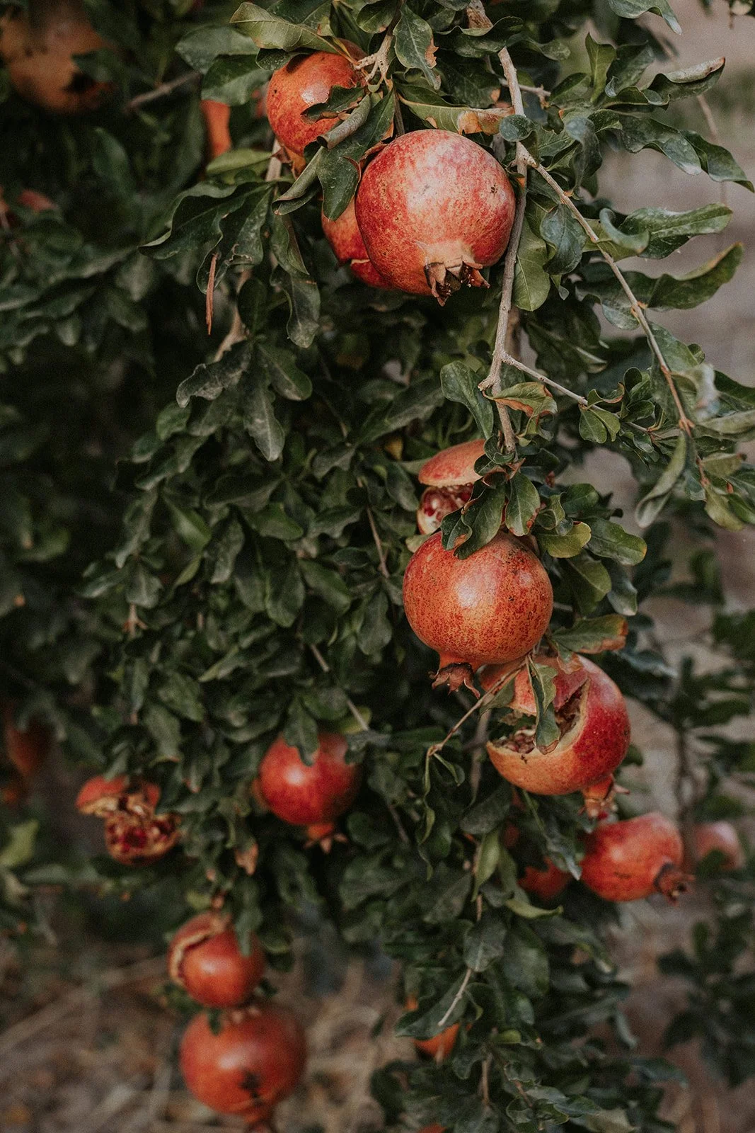 Bernadeta Kupiec - Morocco-475.jpg