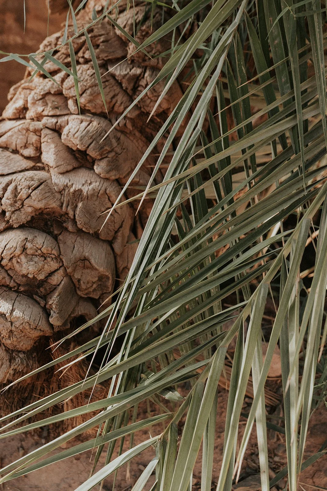 Bernadeta Kupiec - Morocco-480.jpg