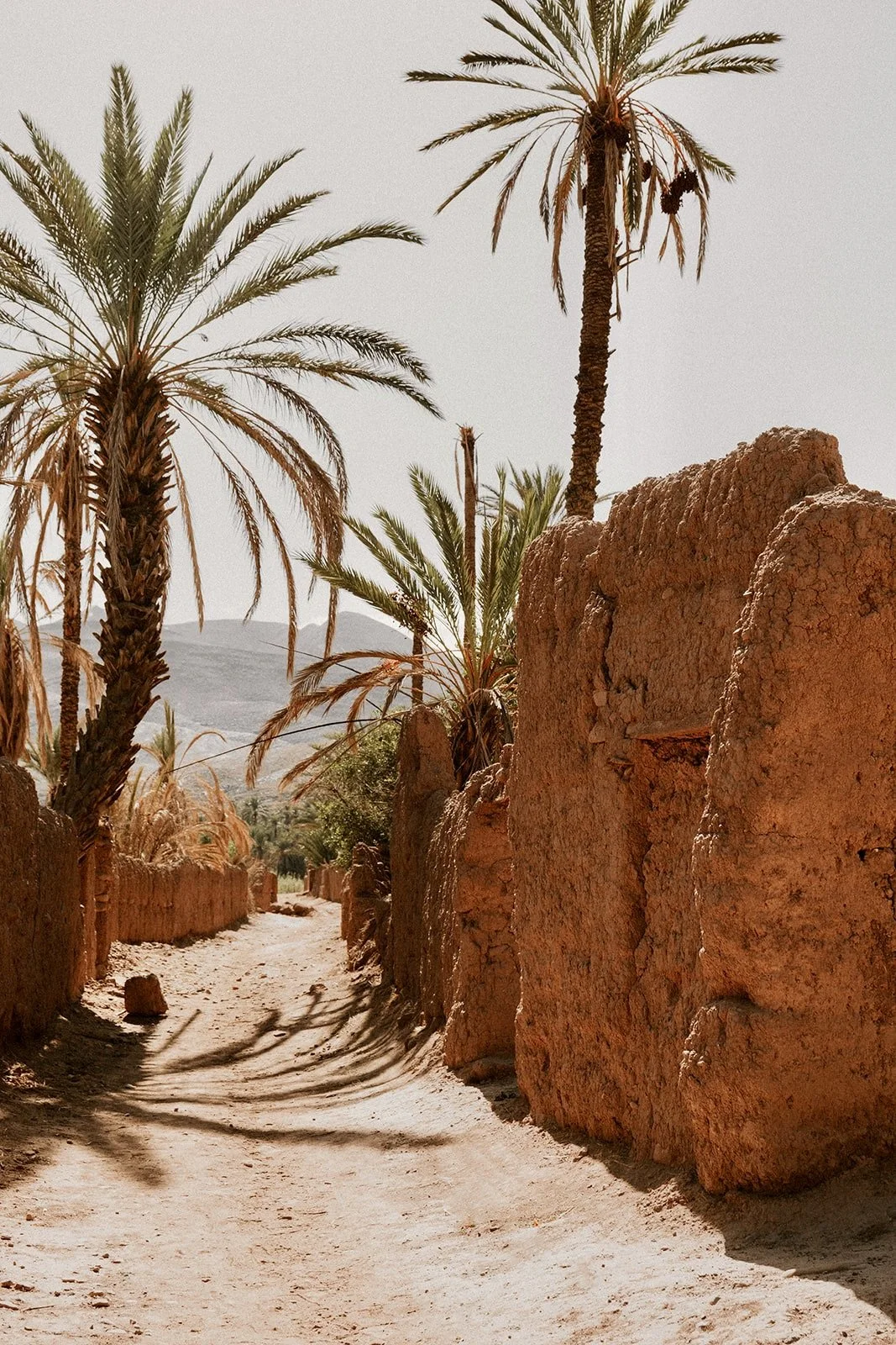 Bernadeta Kupiec - Morocco-160.jpg