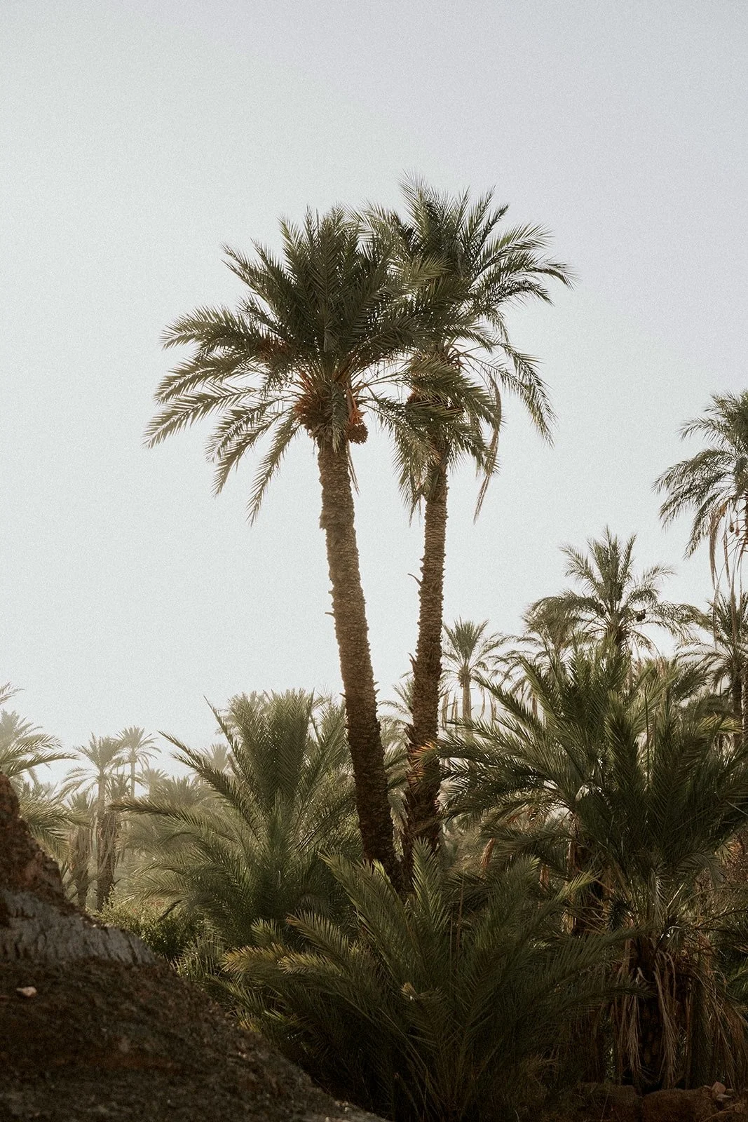 Bernadeta Kupiec - Morocco-467.jpg