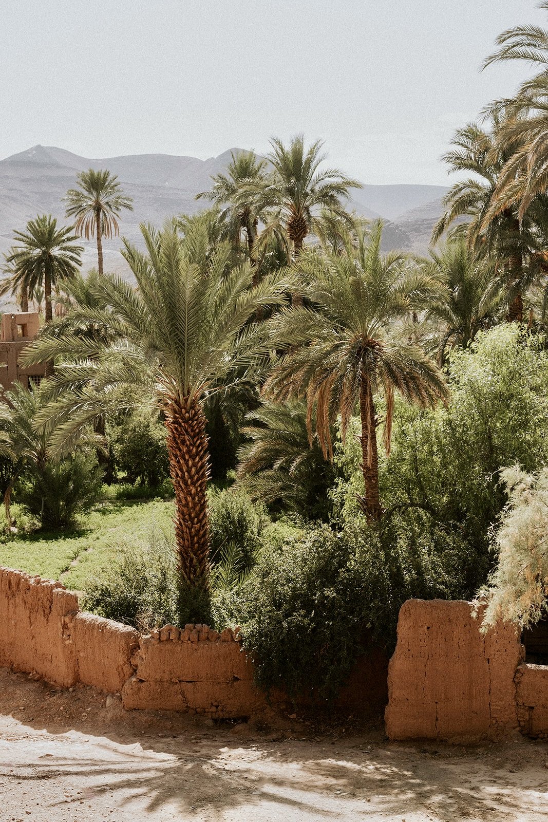 Bernadeta Kupiec - Morocco-154.jpg