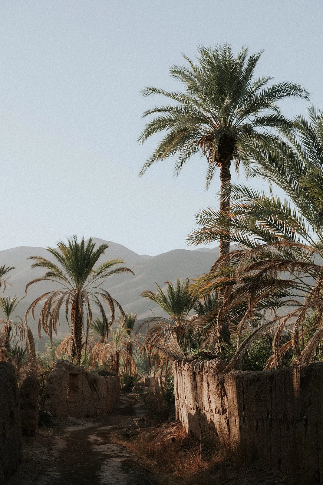 Bernadeta Kupiec - Morocco-476.jpg